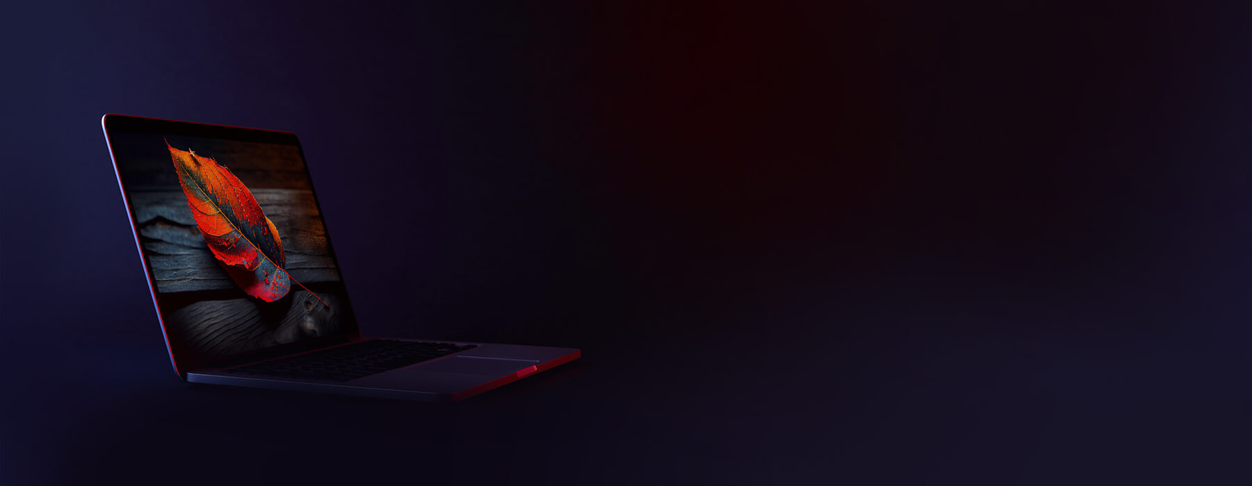 banner-image